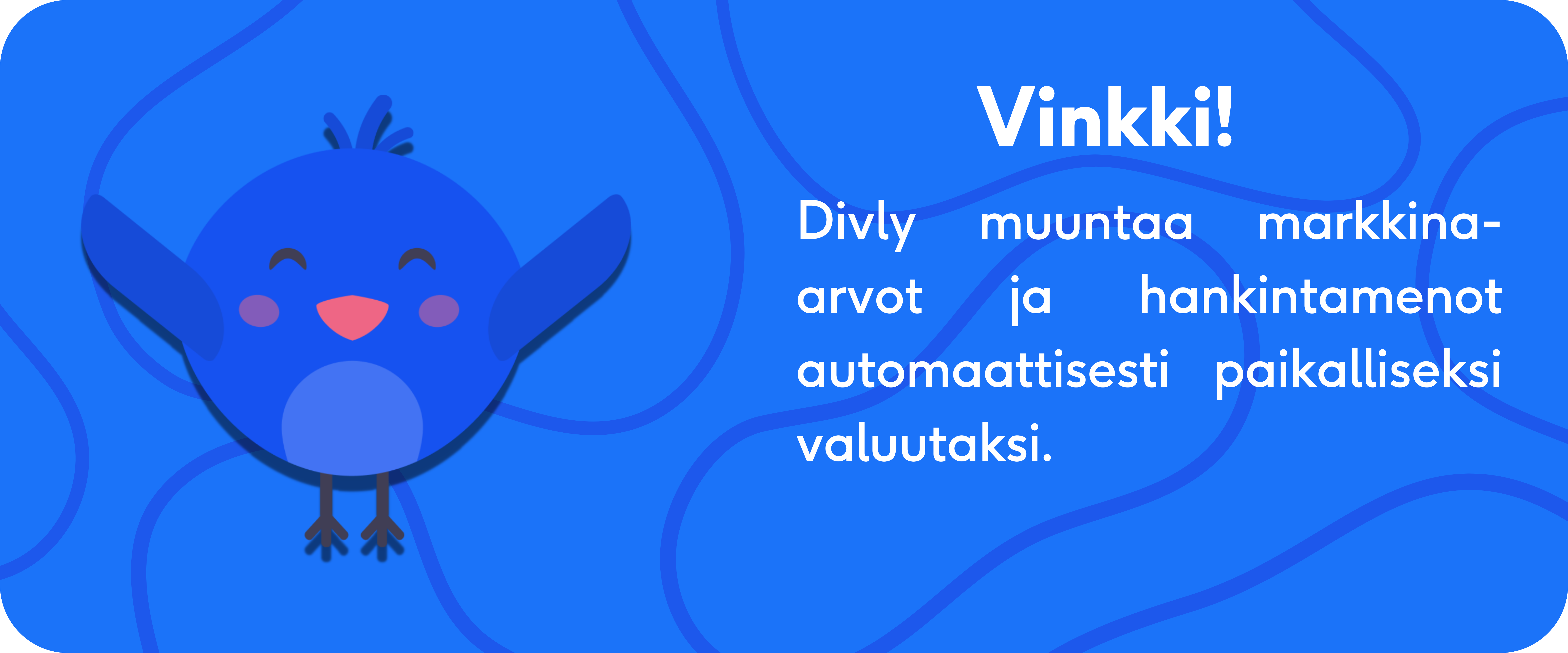 Divly muuntaa markkina-arvot ja hankintamenot automaattisesti paikalliseksi valuutaksi.
