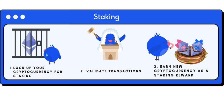 If you stake crypto you lock up your cryptocurrency for a set number of days and won’t have access to them. By doing so you are helping to validate transactions. As a reward for providing this service you are given more cryptocurrency.