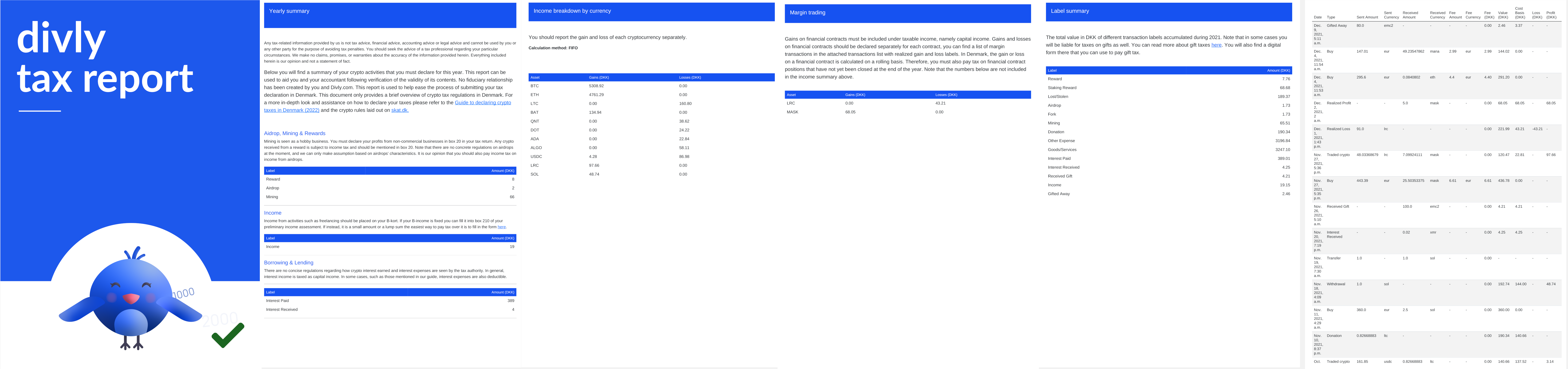 Example of Divly tax report for Danish citizens